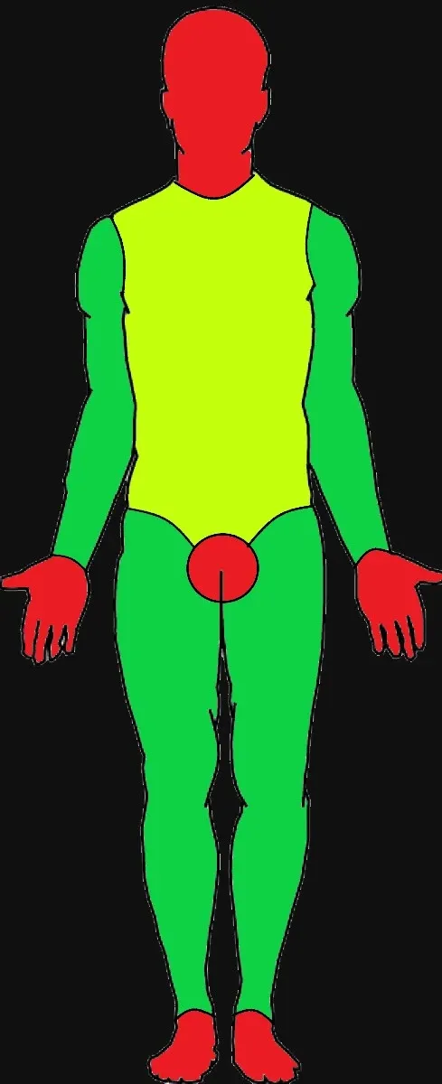 Zasahovky